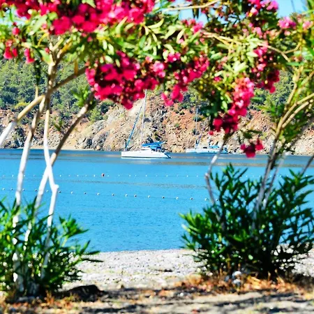 Vila Santana Gocek