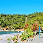 Santana Gocek *
