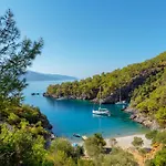 Santana Gocek *